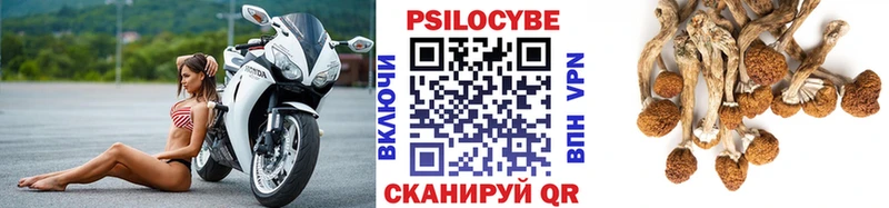 Купить  Лысково  Псилоцибиновые грибы ЛСД 